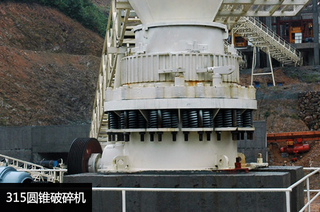 CS315���ɈA�F�C