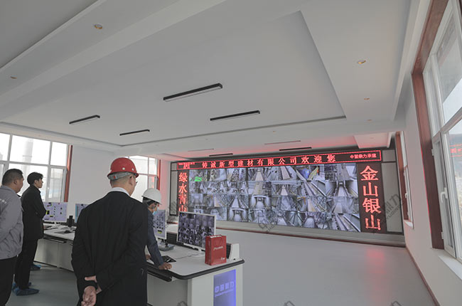 �ǻ۵Vɽ����ϵ�y���w��Q����