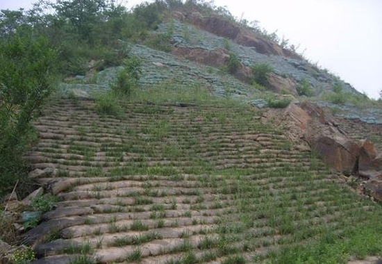 �����Vɽ����