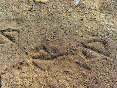 ��ɰ����γɵģ��c�C(j��)��ɰ�C(j��)��ʲô�^(q��)�e��