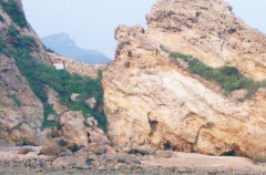 �L(f��ng)���r����ɰ�᣿����ʡס���d�o��֪ͨ����ֹʹ���L(f��ng)���r�C(j��)��ɰ