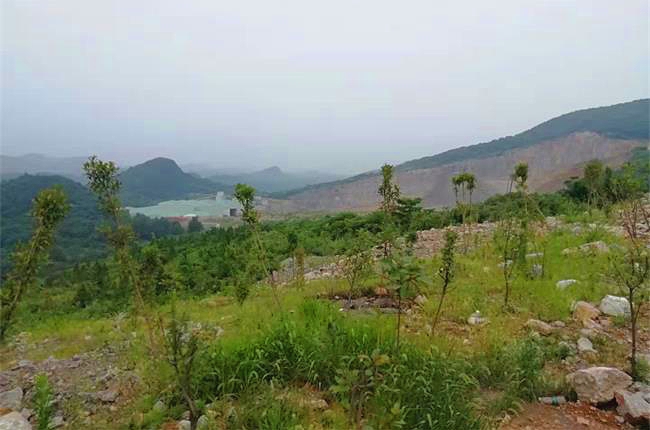 �Vɽ��(f��)�G