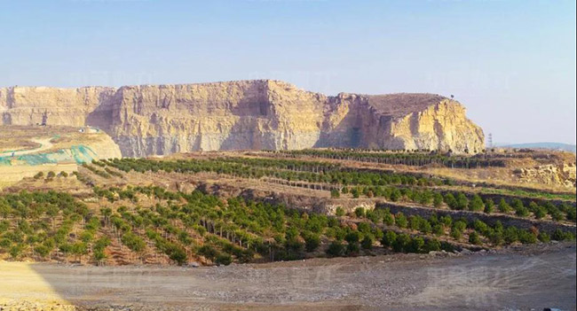 ����ƽꎿh���l(f��)ʯ�����޹�˾�r�a(ch��n)1000��ʯ�����a(ch��n)���G��